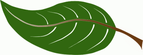 largeleaf.png