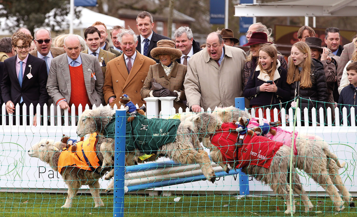 Sheep steeplechase, Ascot Racecourse, sponsored by The Campaign for Wool. Tommy Coleridge, Peter Ackroyd, NC, Marshall Allender, The Prince of Wales, The Duchess of Cornwall, Sir Nicholas Soames.