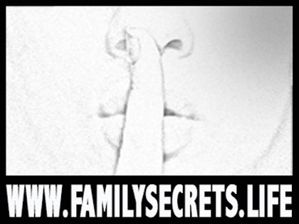 familysecrets.life