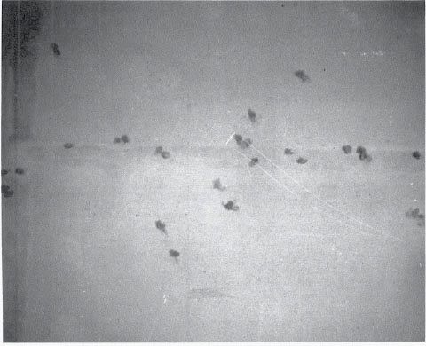 Lt. (jg) Shimada Yōzō’s stricken Zuikaku carrier bomber after bombing the Hornet.
