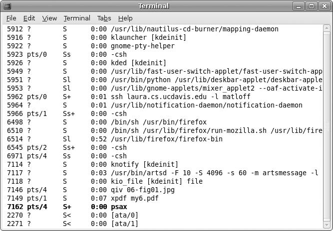 The program running in a terminal window