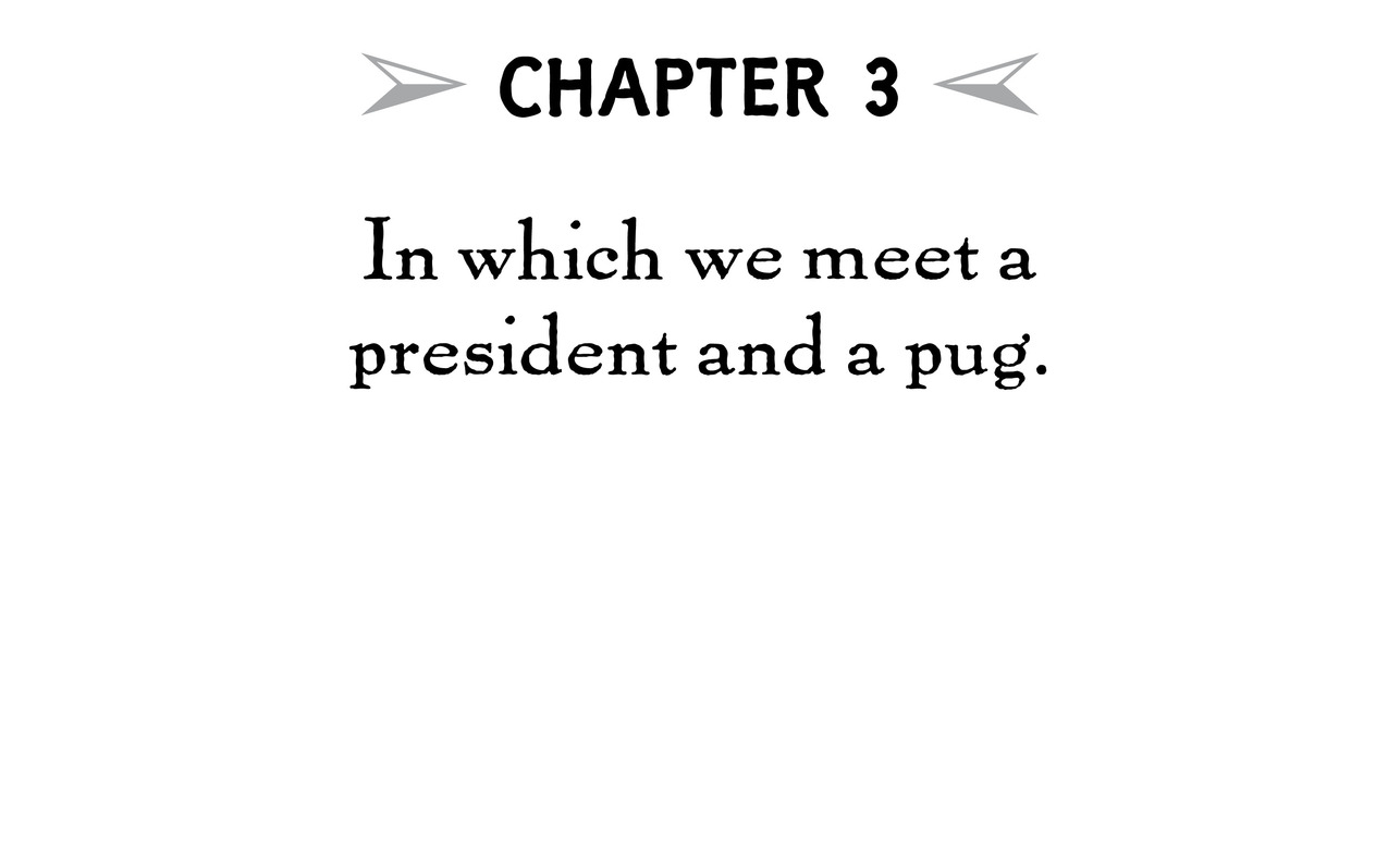 Chapter 3 In which we meet a president and a pug.