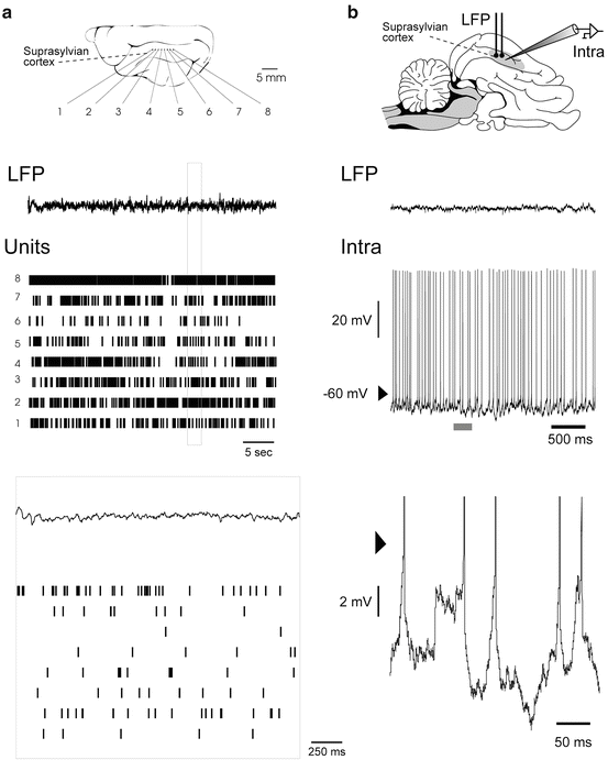 A272602_1_En_8_Fig1_HTML.gif