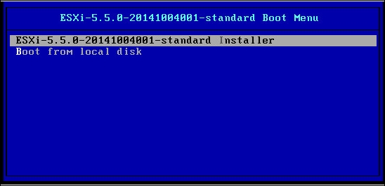 Installing the VMware ESXi host