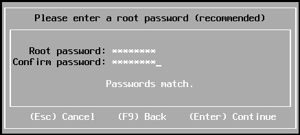 Installing the VMware ESXi host