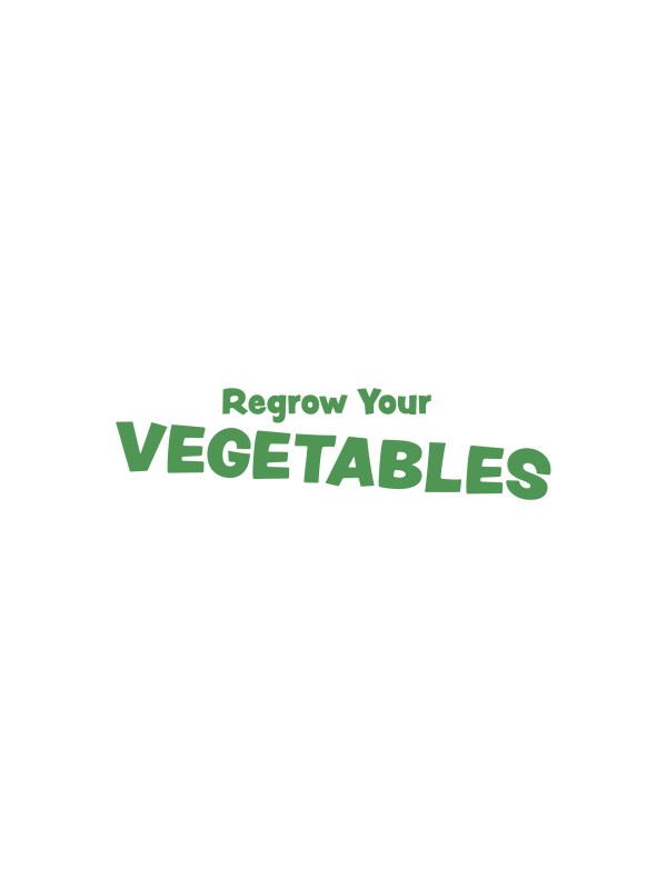 Regrow Your VEGETABLES