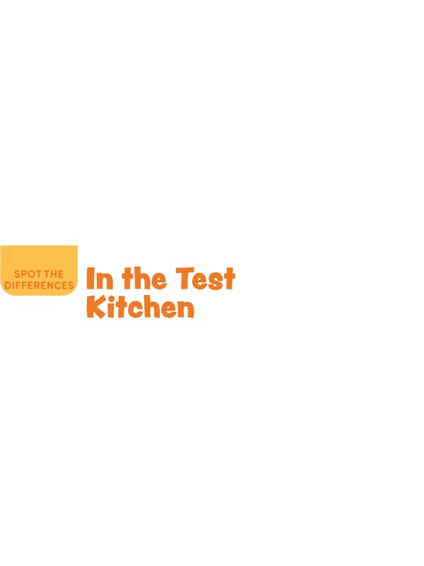 SPOT THE DIFFERENCES: In the Test Kitchen