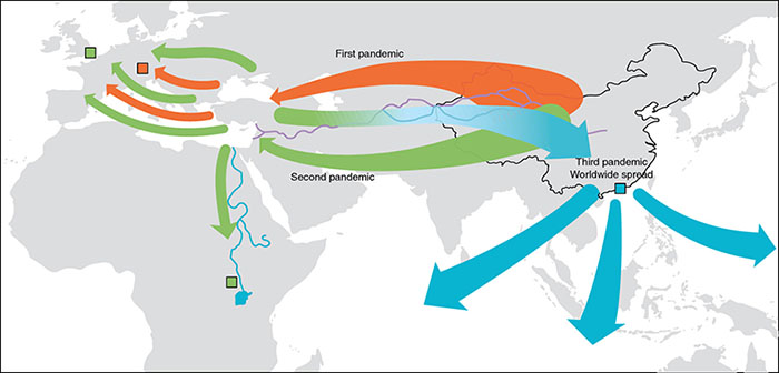 Map shows first pandemic route from China to port cities around Mediterranean Sea, second pandemic route from Central Asia to Mediterranean and Europe and third pandemic route from China to South-East Asia.