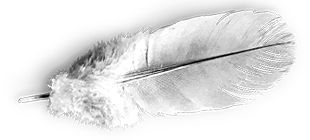 feather-8a.png