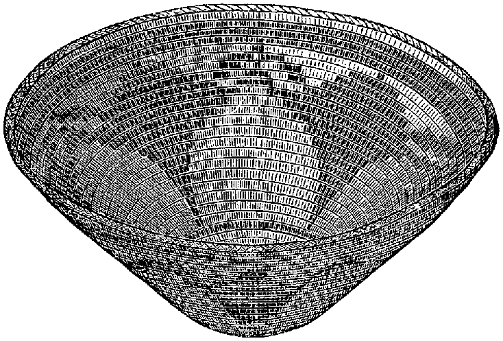 Fig. 325. Coiled basket ornamented with devices probably very highly conventionalized mythological subjects