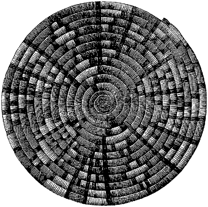 Fig. 326. Coiled tray with geometric devices probably modified by ideographic association