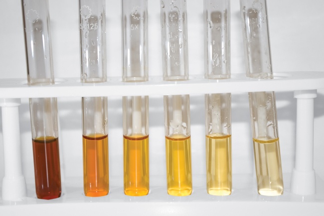 Reference samples with various concentrations of iodine