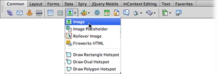 Some of the buttons on Dreamweaver’s Insert toolbar do double duty as menus (the ones with the small, black, down-pointing arrows). Once you select an option from the menu (in this case, the Image object), it becomes the button’s current setting. If you want to insert the same type of object again, you don’t need to use the menu—just click the button.