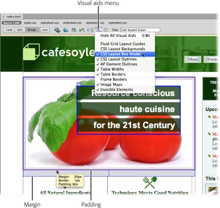 In addition to displaying the space occupied by margins and padding, the CSS Box Model’s visual aids indicate the <div> tag’s vertical and horizontal center point (circled in this figure). If you mouse over the border, margin, or padding, a yellow box appears listing the values for those properties, in this case a 25 px bottom margin, a 1px bottom border, and 8px of bottom padding.