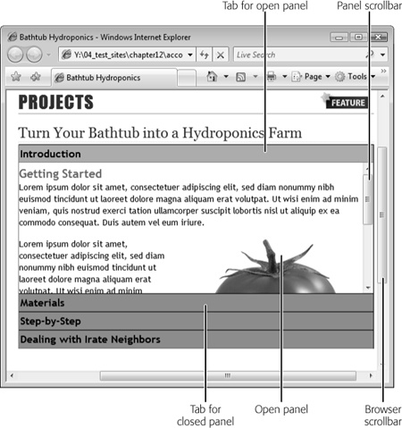 You have to specify a height for Accordion panels, so you always know how much room they take up on a page. A web browser automatically adds scroll bars to panels that have lots of content. The content in this image doesn’t fit within the height of the panel, so a visitor has to use the small scroll bar to read all the information. Depending on how you look at it, the additional scroll bar provides a great way to present a lot of content in a little space or an annoying inconvenience that forces visitors to scroll.