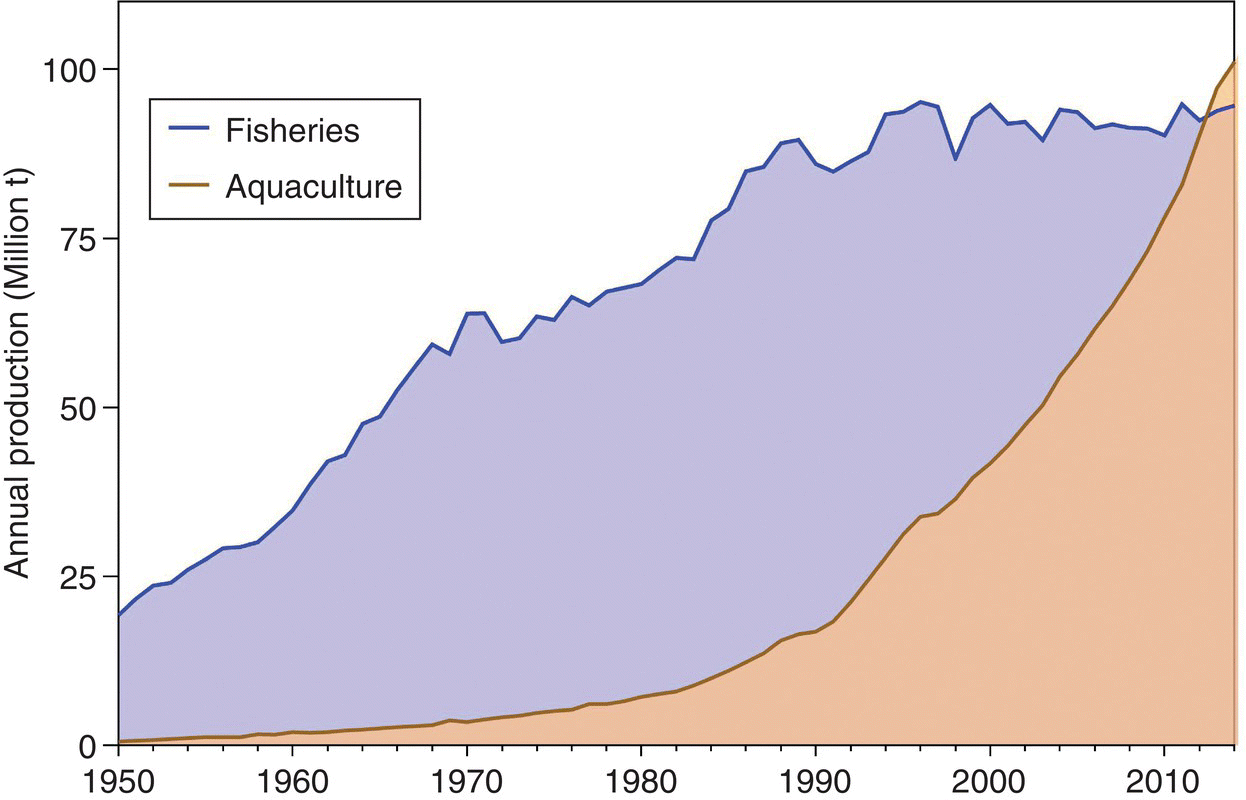 Area graph with two shaded regions, illustrating the global production of aquaculture and capture fisheries.