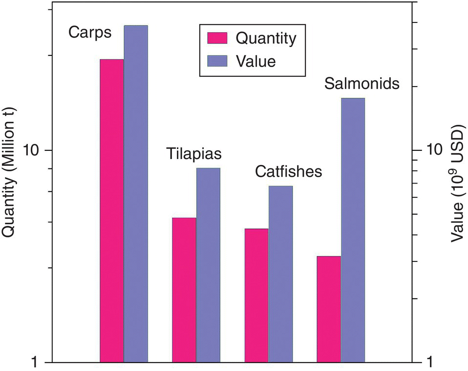 Clustered bar graph of annual quantity and value of major groups of fish, including carps, tilapias, catfishes, and salmonids in 2014, with carps having the highest value and quantity.