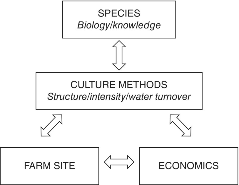 Diagram illustrating inter-relationships with double-headed arrows linking boxes labeled SPECIES (top box), CULTURE METHOD (middle box), FARM SITE (bottom left box) and ECONOMICS (bottom right box).