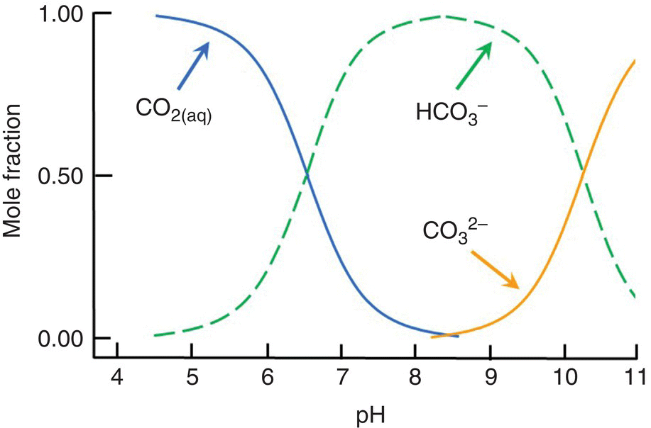 Graph of mole fraction vs. pH, displaying 3 intersecting curves representing CO2(aq) (descending), HCO3– (bell-shaped), and CO32–(ascending).