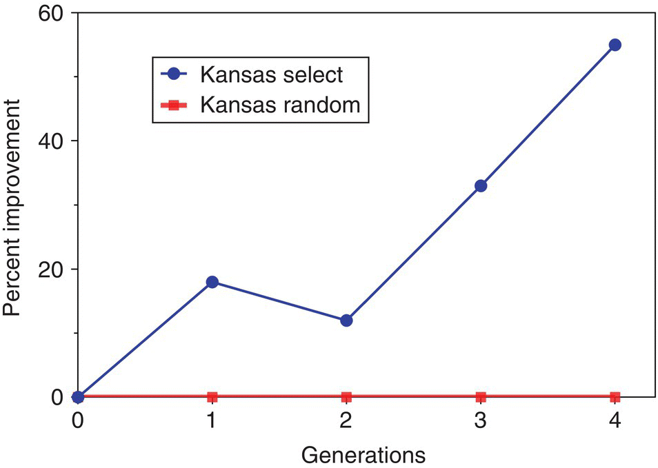 Graph of percent improvement vs. generations displaying an ascending curve with dot markers for Kansas select and a flat line with square markers for Kansas random. The markers are indicated in every generation.