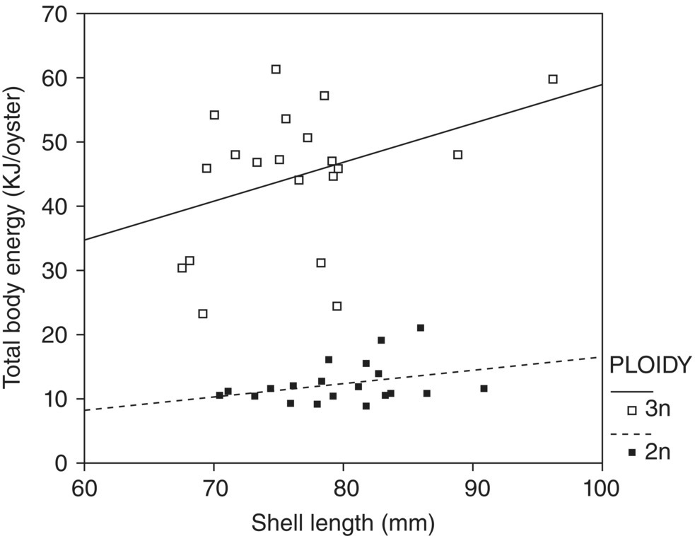 Graph of total body energy vs. shell length displaying scattered squares (3n) along a solid line and shaded squares (2n) along a dashed line.