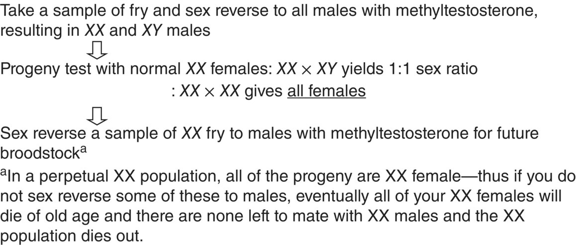 Scheme for producing all-female XX populations of fish, with arrows from “Take a sample of fry and sex reverse to all males with methyltestosterone…” to “Sex reverse a sample of XX fry to males with….”