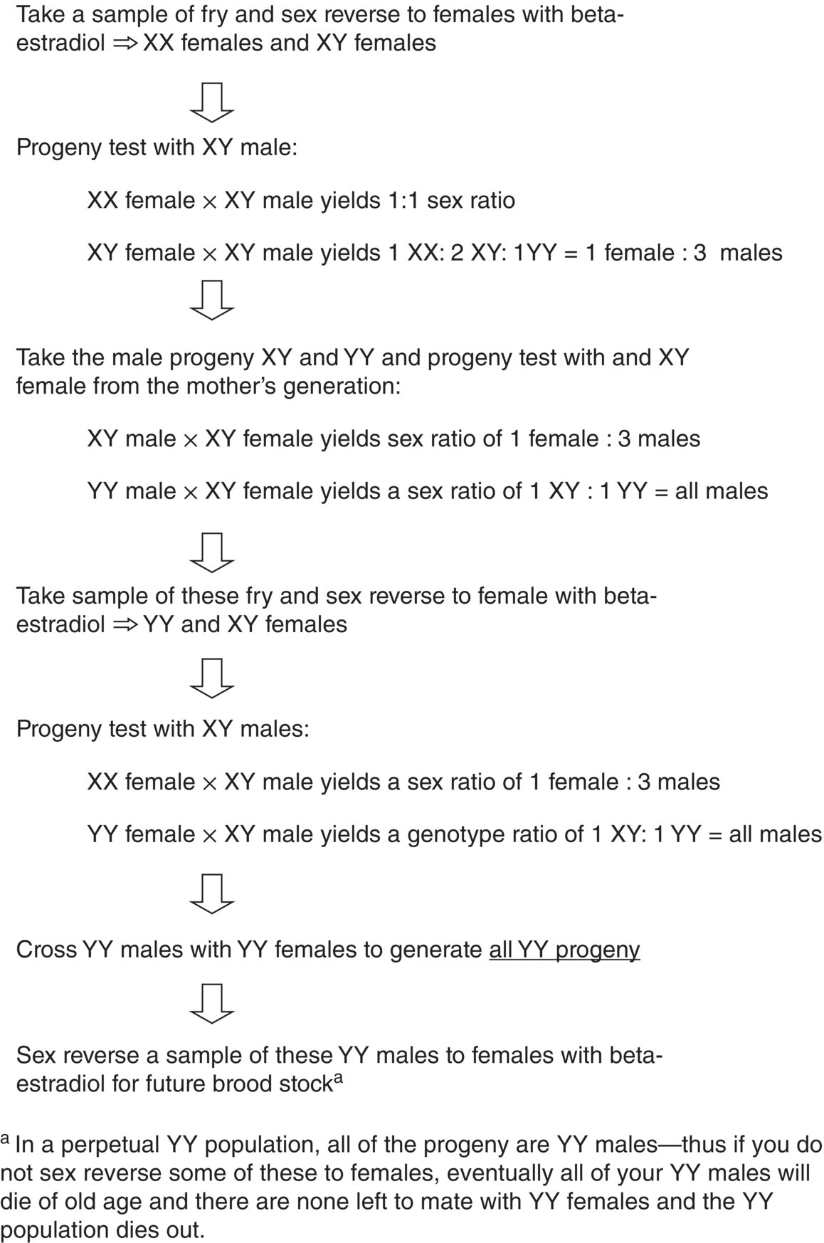 Scheme for producing all-female YY male populations of fish, with arrows from “Take a sample of fry and sex reverse to females with betaestradiol…” to “Sex reverse a sample of these YY males to females with….”