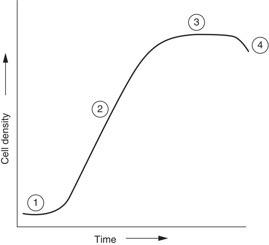 General pattern of changes in cell density over time in microalgae batch cultures illustrated by an S-shaped curve with circles marked 1, 2, 3, and 4. The circles indicate 4 phases.