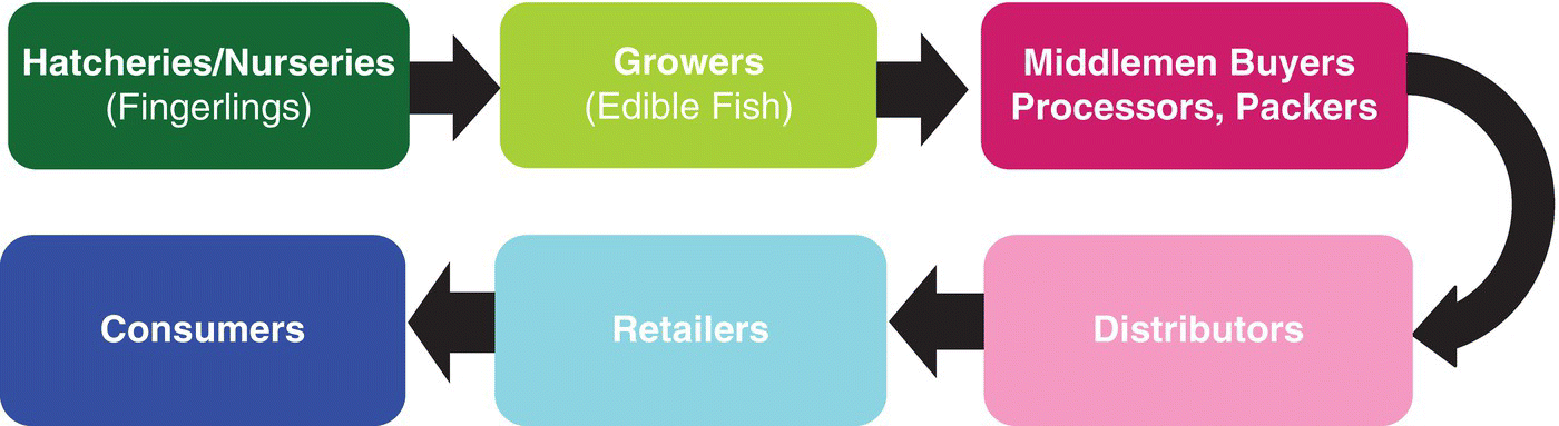 Flow chart of stages in an aquaculture product chain from Hatcheries/Nurseries (Fingerlings) to Growers (Edible Fish), to Middlemen Buyers Processors, Packers, to Distributors, to Retailers, then to Consumers.