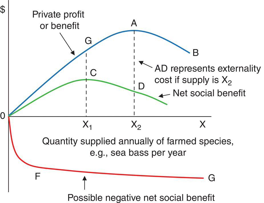 Graph displaying 3 curves representing the private profit of benefit with points A, B, and G; net social benefit with points C and D; and possible negative net social benefit with points F and G.