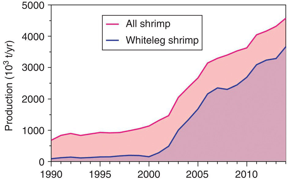 Area graph illustrating the recent output from Pacific white shrimp or whitteleg shrimp vs. output from farming the black tiger shrimp, with 2 shaded areas representing all shrimp and whitteleg shrimp.