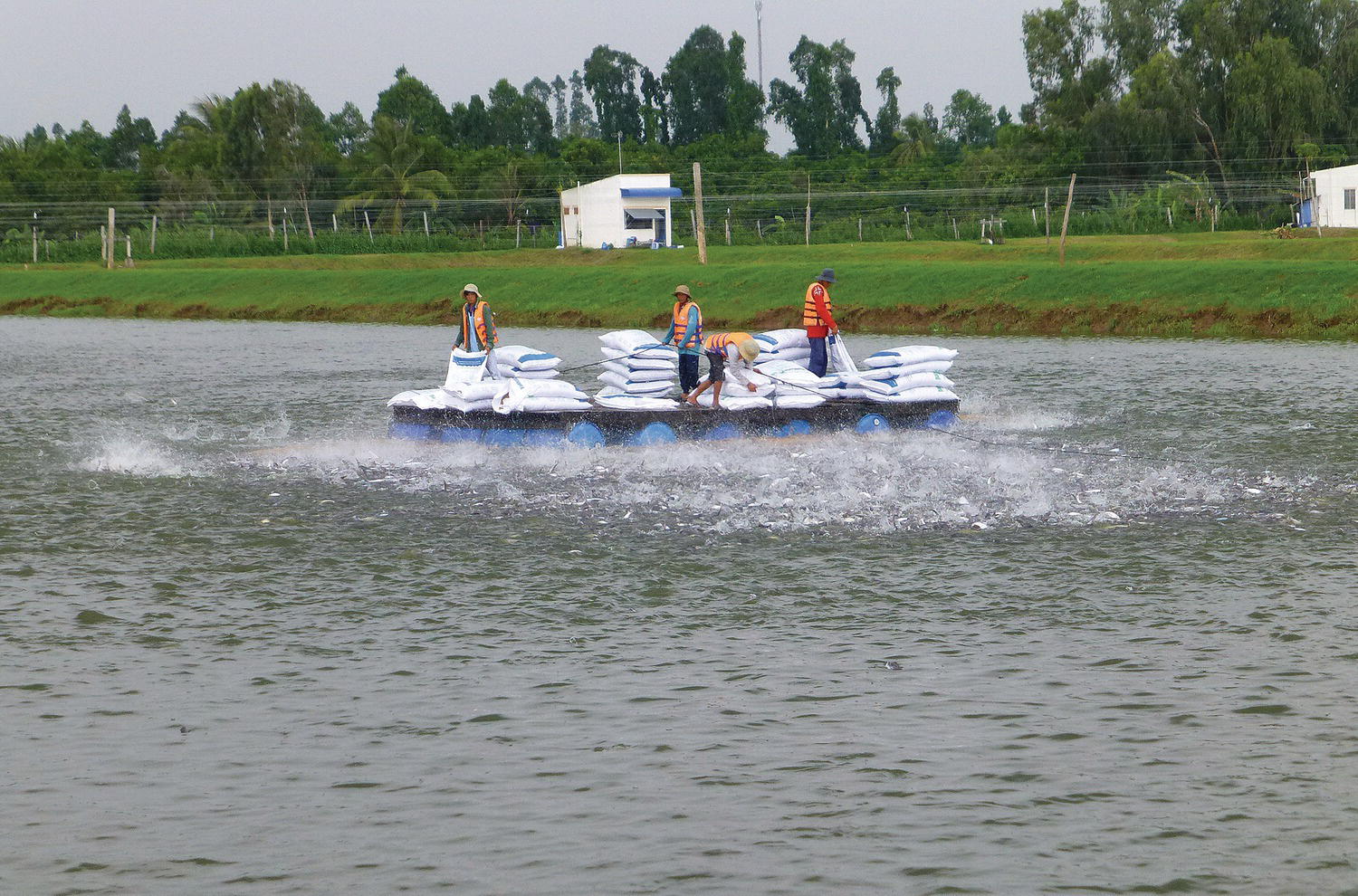 A floating raft on a fish farm along Mekong River in Vietnam, with 4 people and piles of sacks on it.