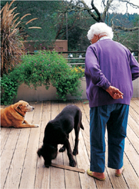 A woman with two dogs on a deck