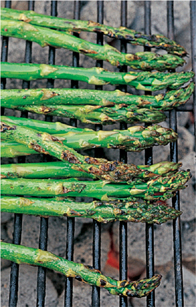 Asparagus on the grill