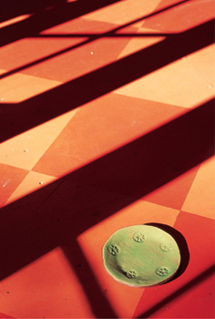 A red tiled floor with a green plate on it