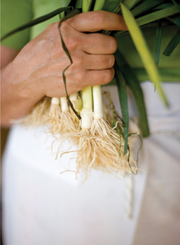 A woman holding a handful of leeks