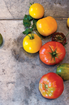 Tomatoes on a steel table