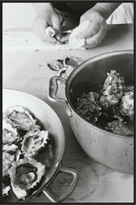 Shucking oysters