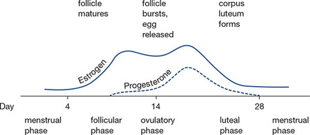 Figure 78