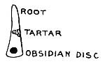 Fig. 58. Obsidian disk inserted in tooth of skeleton found in Mound No. 17.