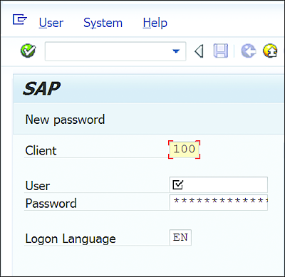 SAP Logon Screen