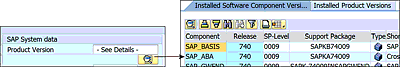 SAP Product Version