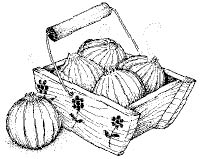 036_msp_onions.tif