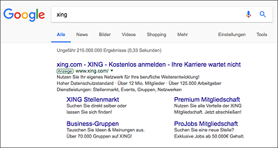 Suche nach »xing« als Beispiel für eine Go-Anfrage