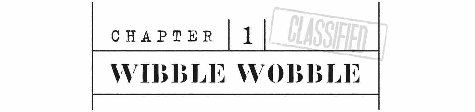 CHAPTER 1 Wibble Wobble