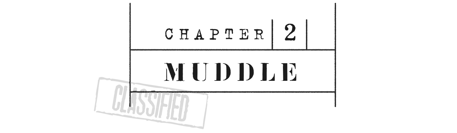 CHAPTER 2 Muddle