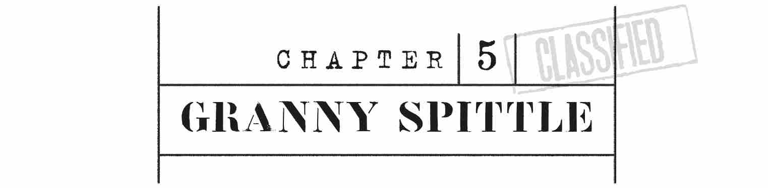 CHAPTER 5 Granny Spittle