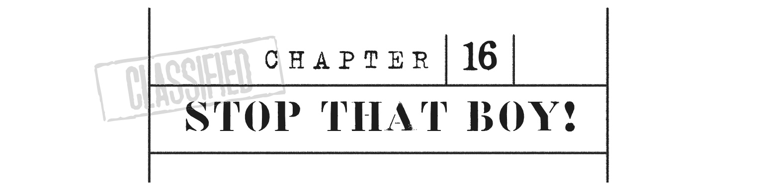 CHAPTER 16 Stop That Boy!