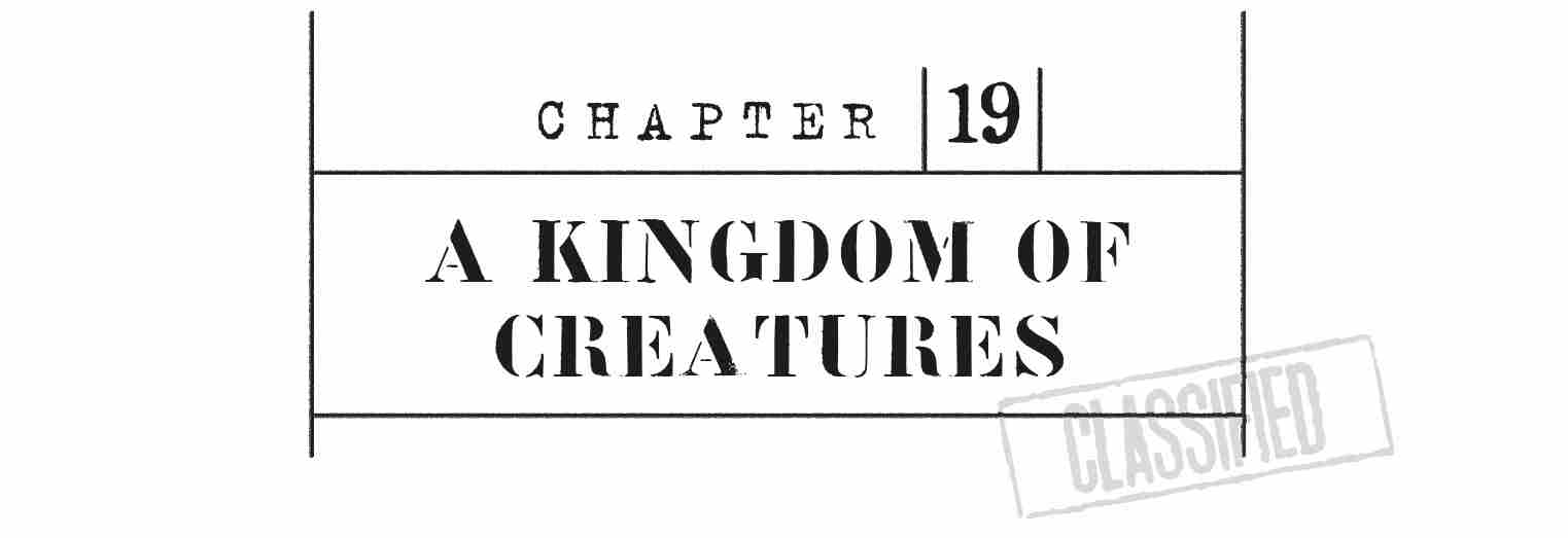 CHAPTER 19 A Kingdom of Creatures