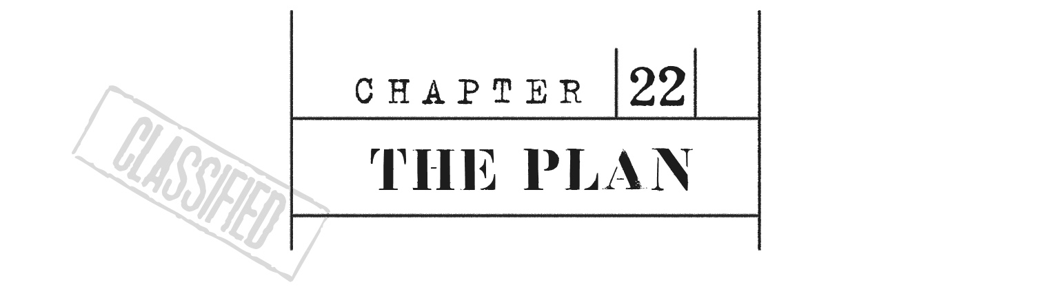 CHAPTER 22 The Plan